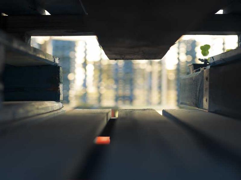 feed vpn加速器多设备高速连接示意图