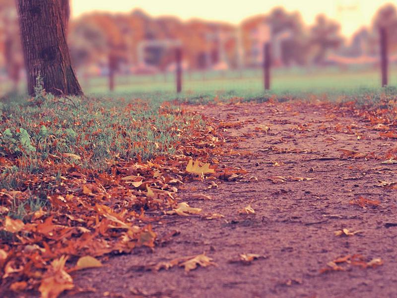 feed vpnVPN全球服务器覆盖地图